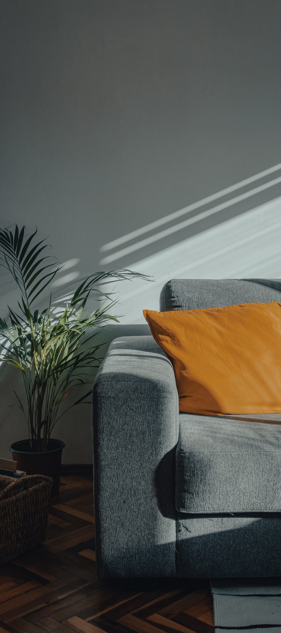 Elevate Your Everyday Living